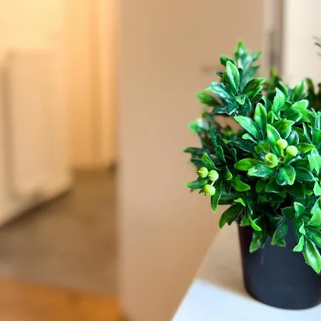 Center For 6 Apartment *